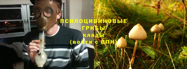 прущая мука Алексин