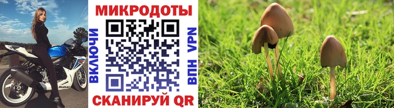 Галлюциногенные грибы прущие грибы  где купить наркоту  Октябрьск 